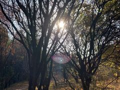-龙洞风景区-藏龙涧