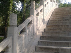 -紫竹院公园冰场