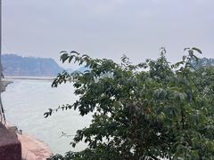 -乐山市博物馆
