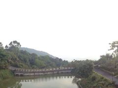 -广州市帽峰山景区