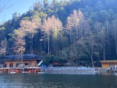-楠溪江石桅岩
