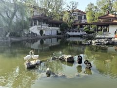 -舜耕山庄四时万和自助餐厅