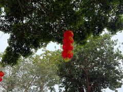 -悦城龙母祖庙