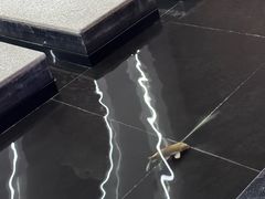 -涨巢·潮玩水疗局