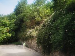 -渭南桃花源民俗文化园