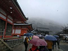 -有栖山 清光院 清水寺