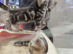 -丽达购物中心(崂山店)