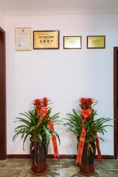 -卡洛儿高端儿童摄影(郑东新区店)