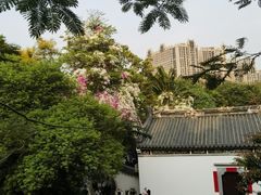 -深圳国际园林花卉博览园