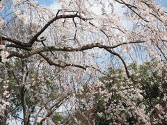 -京都御所