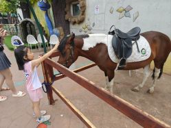 -宝燕乐园(闵行旗舰店)