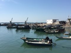 -硇洲岛旅游区