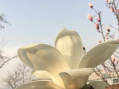 -民族饭荘(新华大街店)