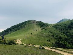 -大姆山草场