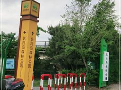 -长白岛森林公园