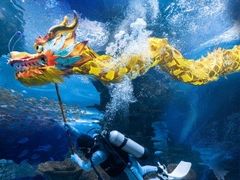 -上海海昌海洋公园