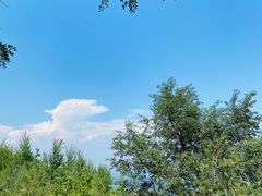 -阳台山自然风景区