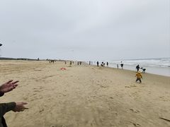 -东海岛旅游度假区