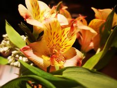 -滋色臻选川菜(北京坊旗舰店)