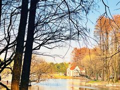 -上海共青森林公园