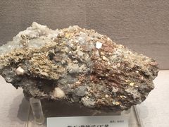 -湖南省地质博物馆