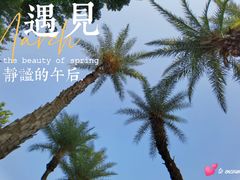 -厦门园林博览苑