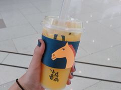 -春丽小马(济南恒隆广场店)