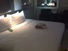 -曼谷文华中心点大酒店