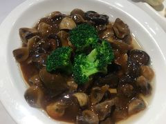 鲍汁蘑菇-峨嵋酒家总店(车公庄店)