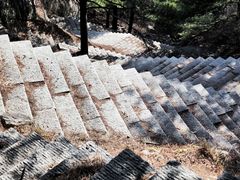 -泰山花样年华景区
