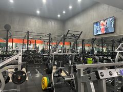 -健身专家Wellness Experts