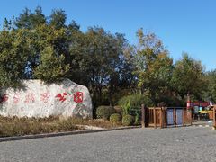 -西青郊野公园