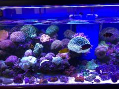 -三旗百汇商品城