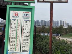 -秀丽东方