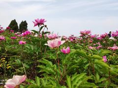 -金堂县云顶石城风景区