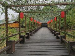 -酒仙湖景区