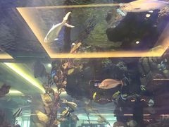 -碧桂园凤凰城酒店(南京店)