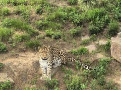 -西霞口神雕山野生动物世界