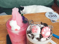 -猫小院猫主题咖啡厅(北锣店)