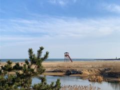 -渡海小渔村.老辈日照菜