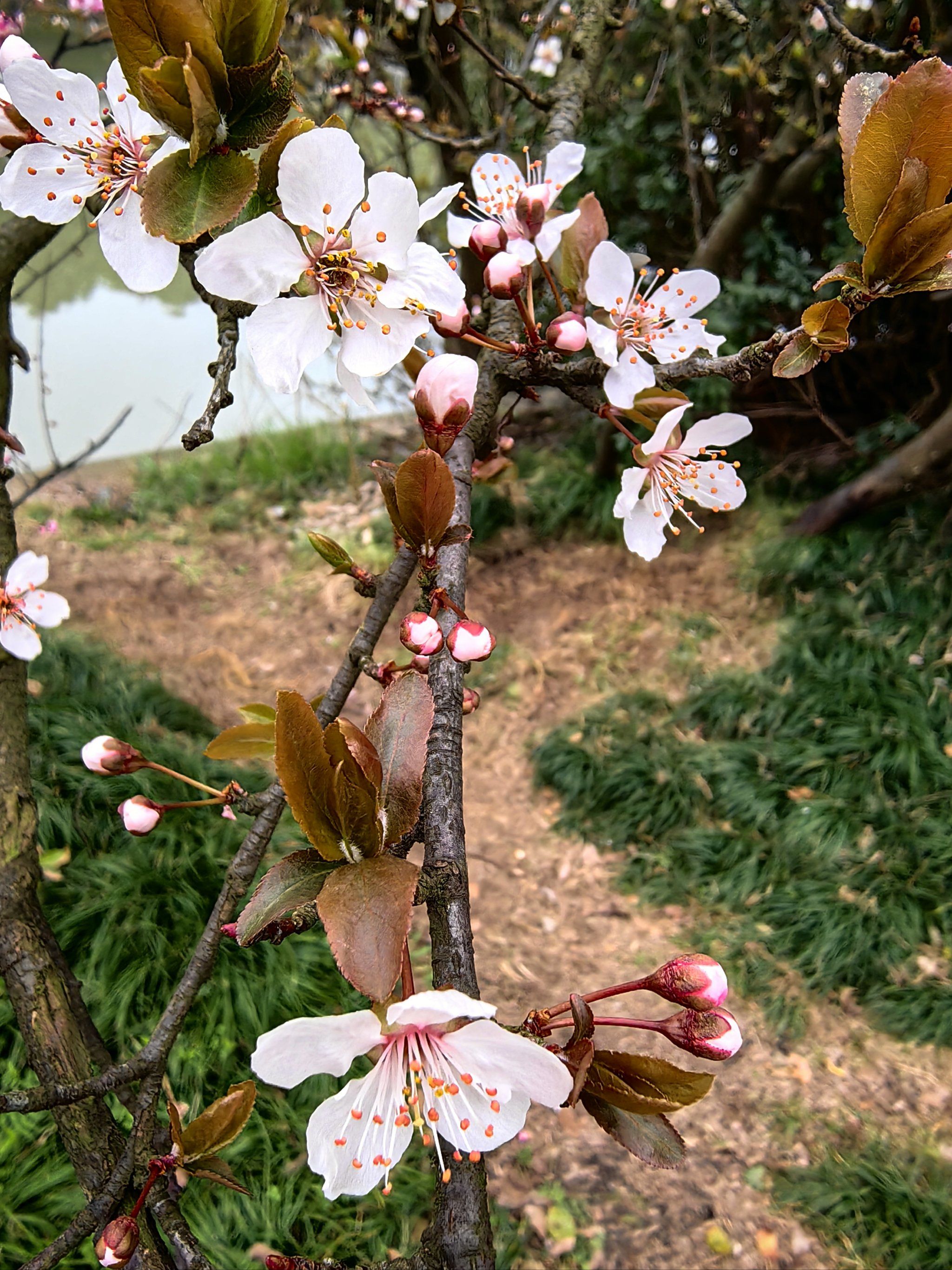 上海松江广富林郊野公园
