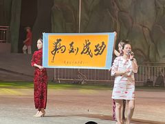 -灵玲国际马戏城