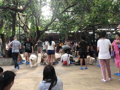 -TrueLove @ Neverland (Husky Cafe)