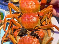-山海•蒸汽活海鲜自助(皇庭广场店)