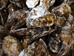 -宾朋海鲜特色美食餐厅·纯手工鲅鱼水饺(兴海路店)