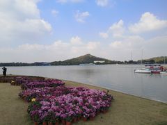 -上海月湖雕塑公园