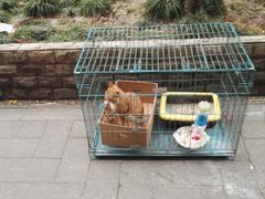 -海派铜锣湾(打浦路店)