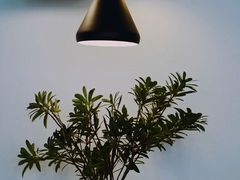 -铁手珈琲制造局metalhands(望京店)