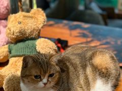 -咖法森林·咖啡  酒吧(天河店)