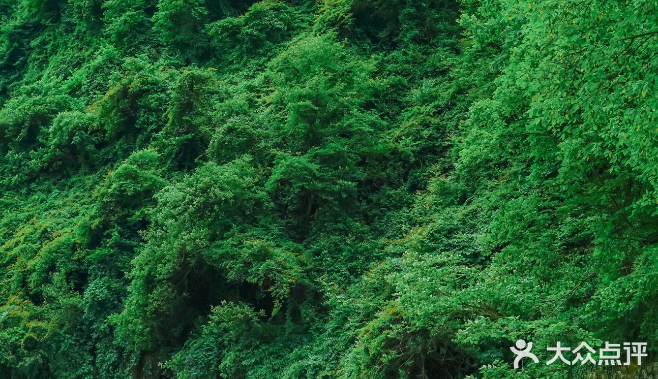 贵州亚马逊丛林➕峡谷漂流！超爽！